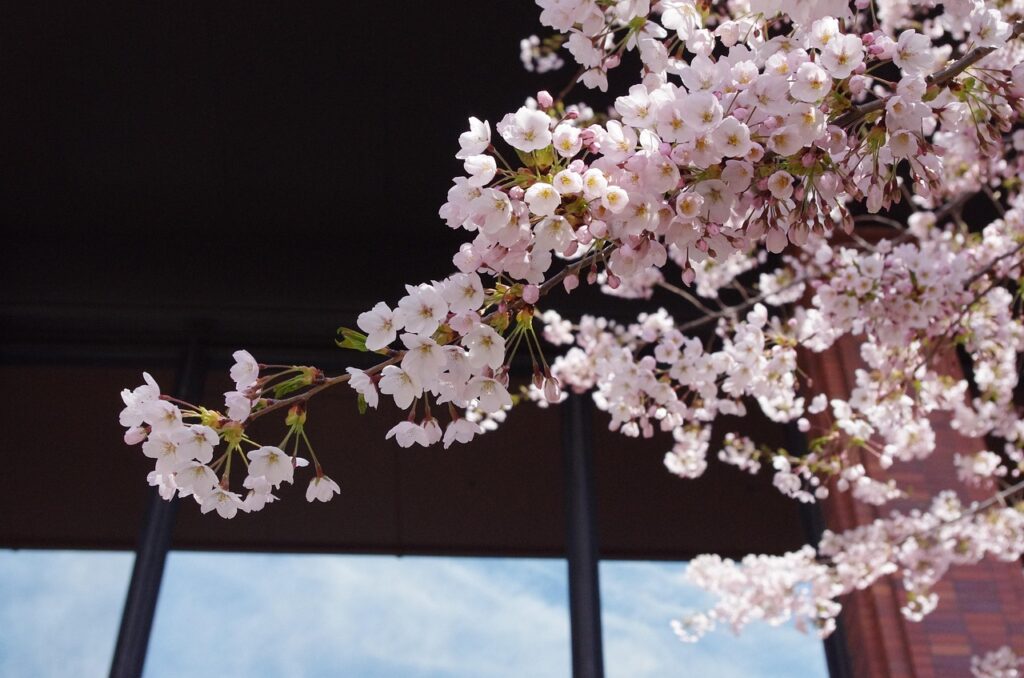 Notionを活用した企業のリモート文化をどう築くべきか？