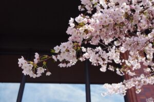 Notionを活用した企業のリモート文化をどう築くべきか？