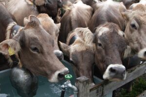 会社が支給した機材の返却ルールはどうなっているの？