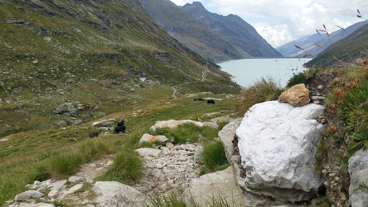 SaaS営業における在宅ハイブリッド勤務の求人はどこで探せる？