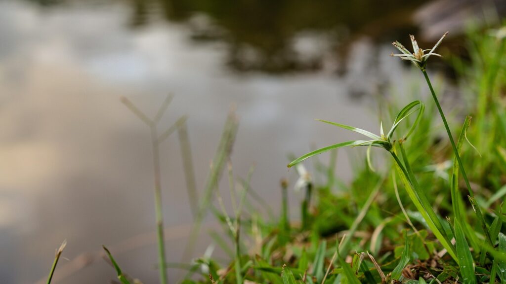 広報PRにおける在宅転職案件のメリットとは？