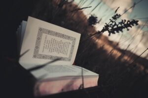 転職に役立つ書籍購入補助の制度はどのように利用できる？