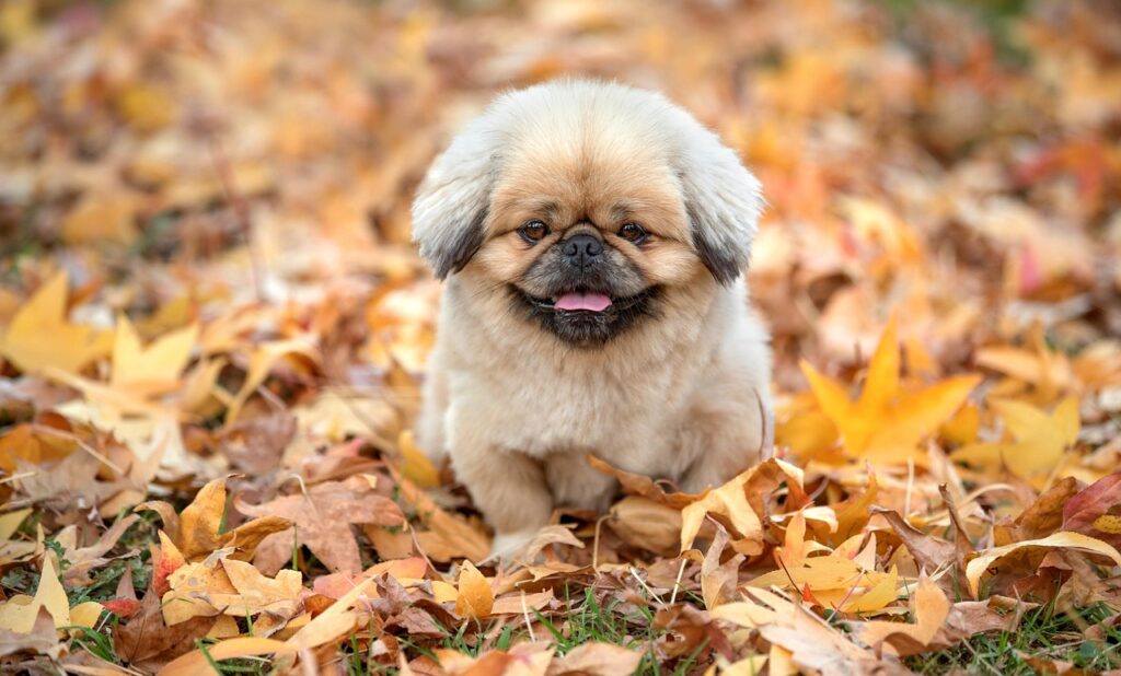 サポートが手厚いサービスを選ぶ際のポイントは？