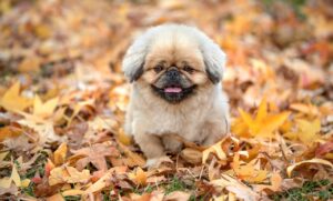 サポートが手厚いサービスを選ぶ際のポイントは？