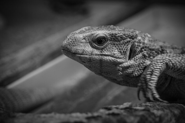 年収を上げる方法は本当に効果的？成功者の体験を徹底検証！